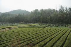 <b>硒粮集团贴心保障员工需求</b>