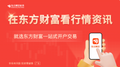 <b>例如Wifi、LCD Driver、AMOLEDDriver价格是成长的；不迭</b>