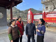 邵东市廉桥镇人大按照代表工作领域组建专业工