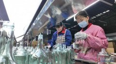 200余家企业参与、24项活动联动